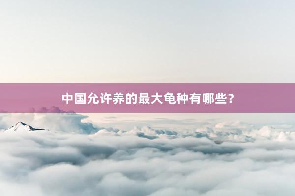 中国允许养的最大龟种有哪些？