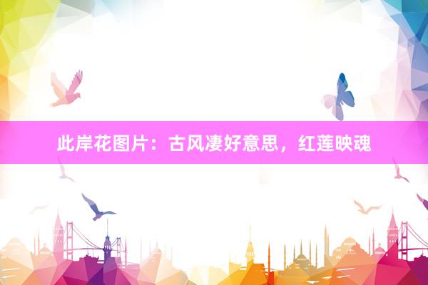 此岸花图片：古风凄好意思，红莲映魂