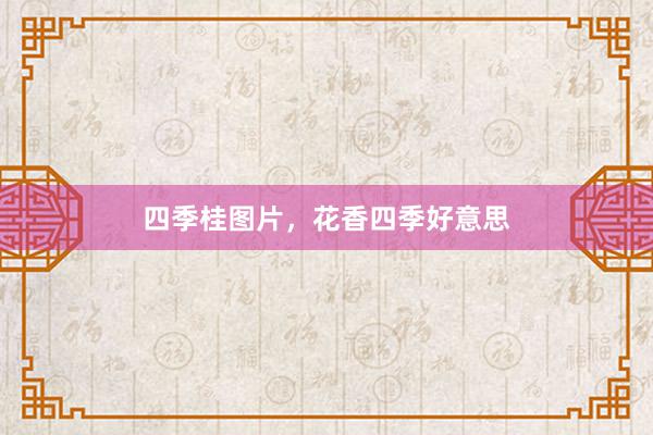 四季桂图片，花香四季好意思