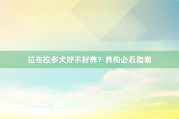 拉布拉多犬好不好养?养狗必看指南