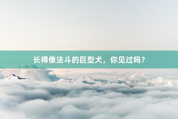长得像法斗的巨型犬,你见过吗?